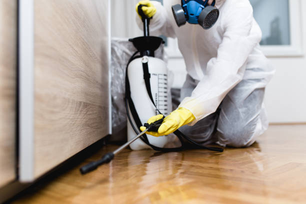 Trusted Guntersville, AL Pest Control Experts