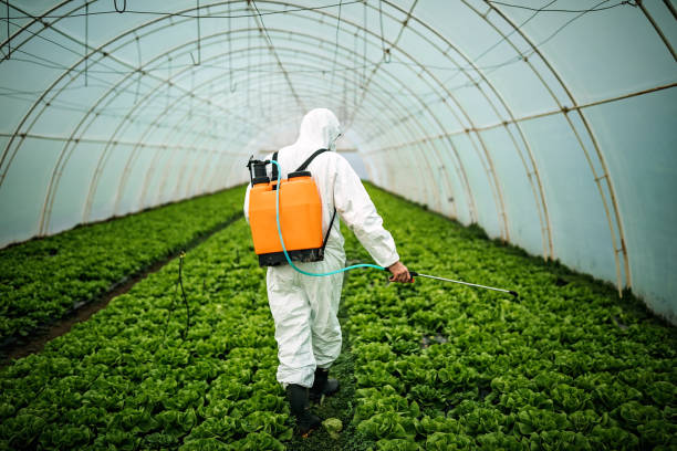 Best Residential Pest Control  in Guntersville, AL