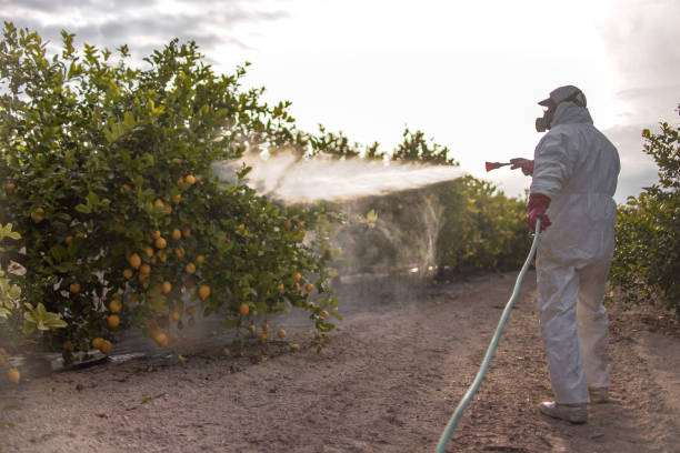 Best Exterminator Services  in Guntersville, AL