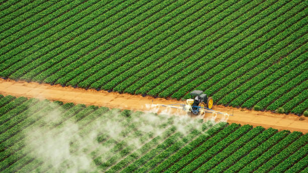 Pest Control Cost in Guntersville, AL