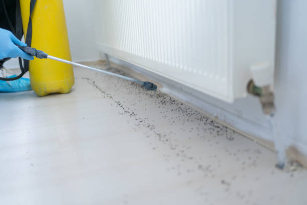 Best Commercial Pest Control Services  in Guntersville, AL