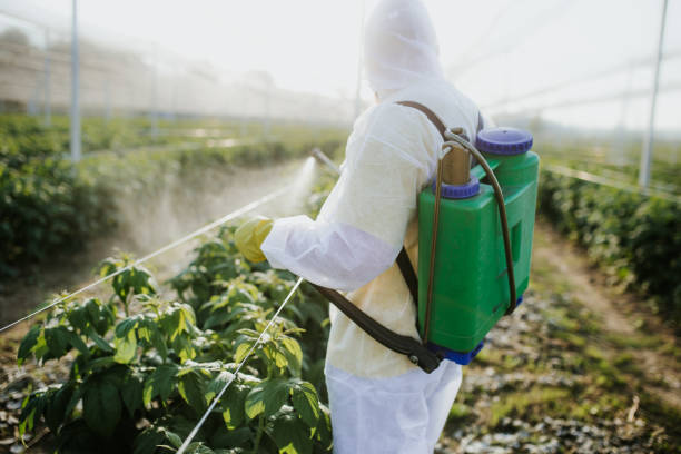 Best Cockroach Control Services  in Guntersville, AL